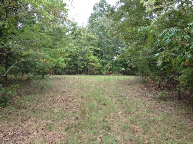 0 Humphreys Co Line Road Dickson, TN 37055 - Photo 2 of 17