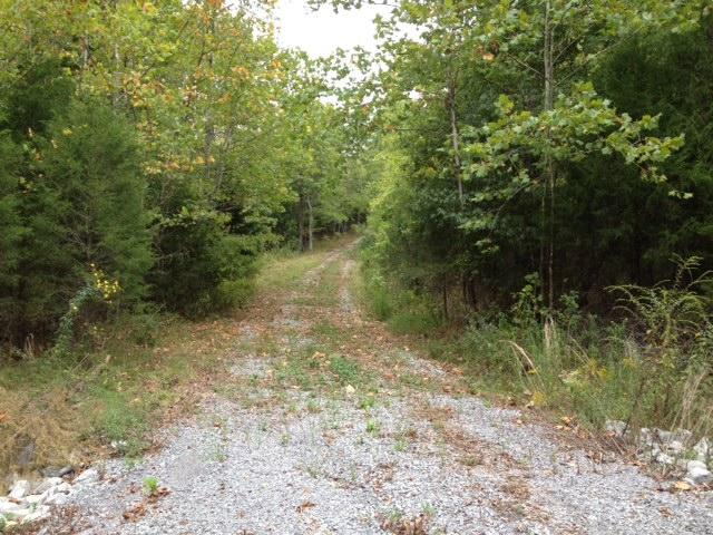 0 Humphreys Co Line Road Dickson, TN 37055 - Photo 3 of 17