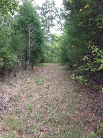 0 Humphreys Co Line Road Dickson, TN 37055 - Photo 5 of 17
