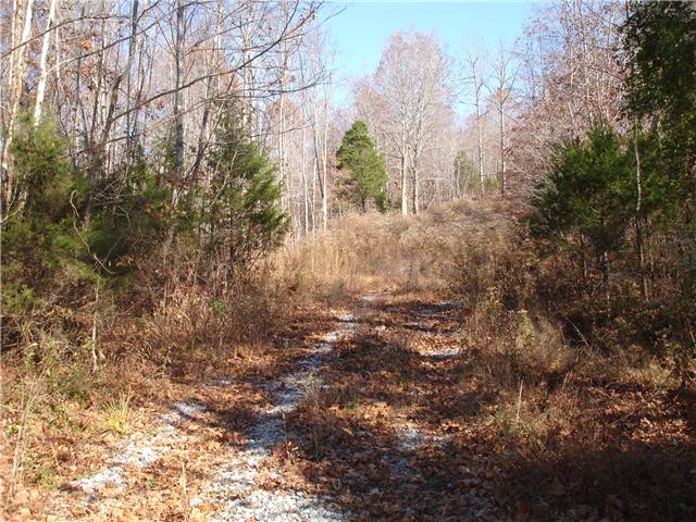 0 Humphreys Co Line Road Dickson, TN 37055 - Photo 6 of 17