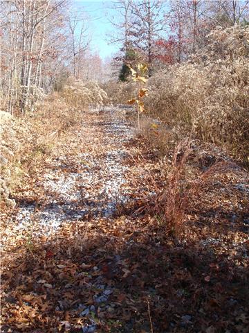 0 Humphreys Co Line Road Dickson, TN 37055 - Photo 10 of 17