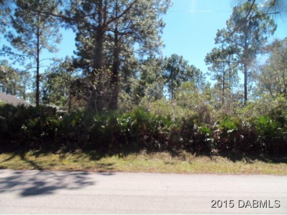 4 Eastern Place Palm Coast, FL 32164 - Photo 2 of 10 a view of backyard with green space
