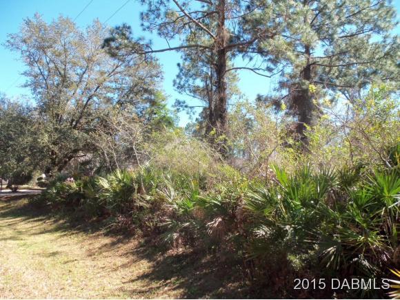 4 Eastern Place Palm Coast, FL 32164 - Photo 3 of 10 a view of tree