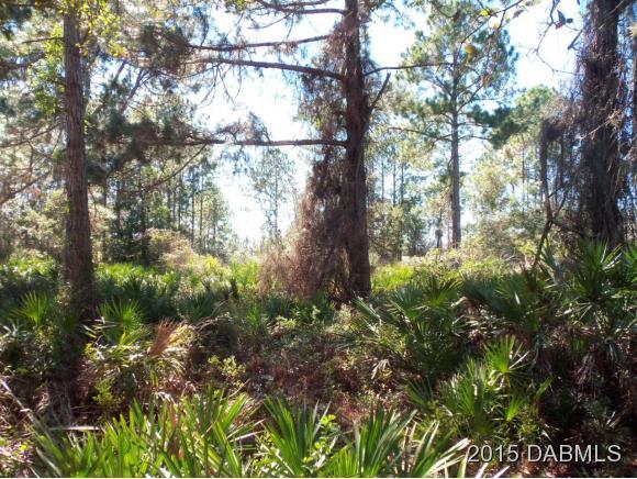 4 Eastern Place Palm Coast, FL 32164 - Photo 4 of 10 a view of a garden