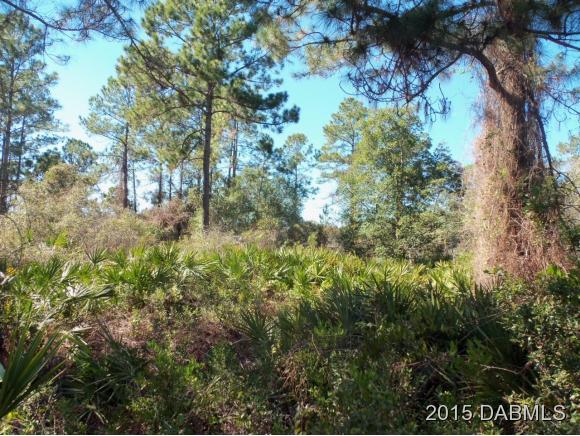 4 Eastern Place Palm Coast, FL 32164 - Photo 5 of 10 a view of a tree in a forest