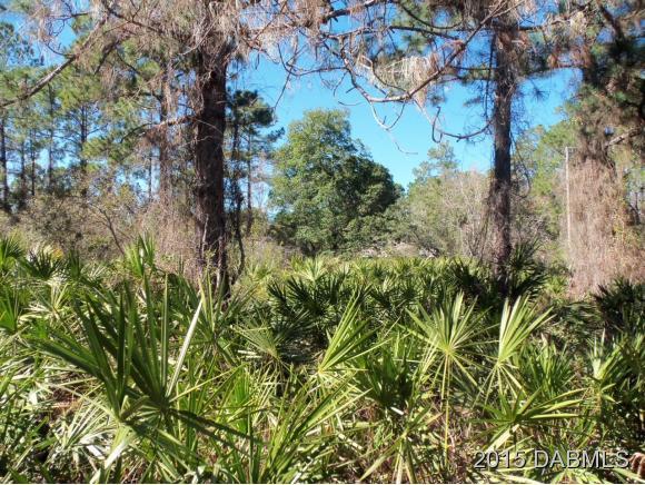 4 Eastern Place Palm Coast, FL 32164 - Photo 6 of 10 a view of a tree in a garden