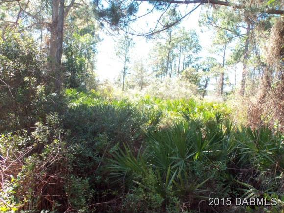 4 Eastern Place Palm Coast, FL 32164 - Photo 7 of 10 a view of forest