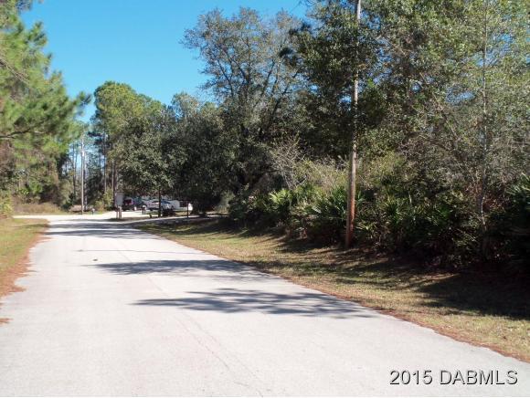 4 Eastern Place Palm Coast, FL 32164 - Photo 10 of 10 a view of swimming pool and large trees