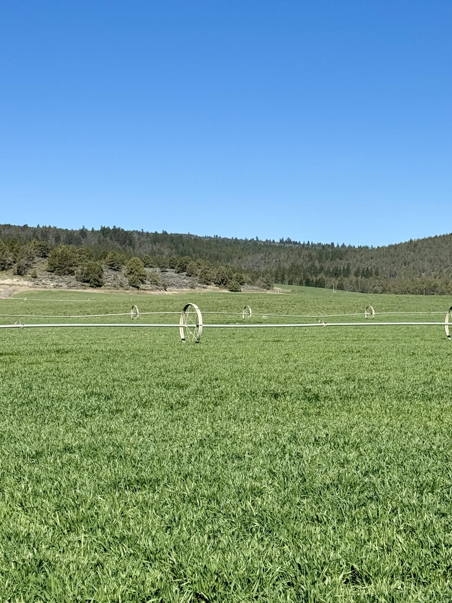 6520 Hildebrand Road Dairy, OR 97625 - Photo 20 of 72 Hildebrand Road