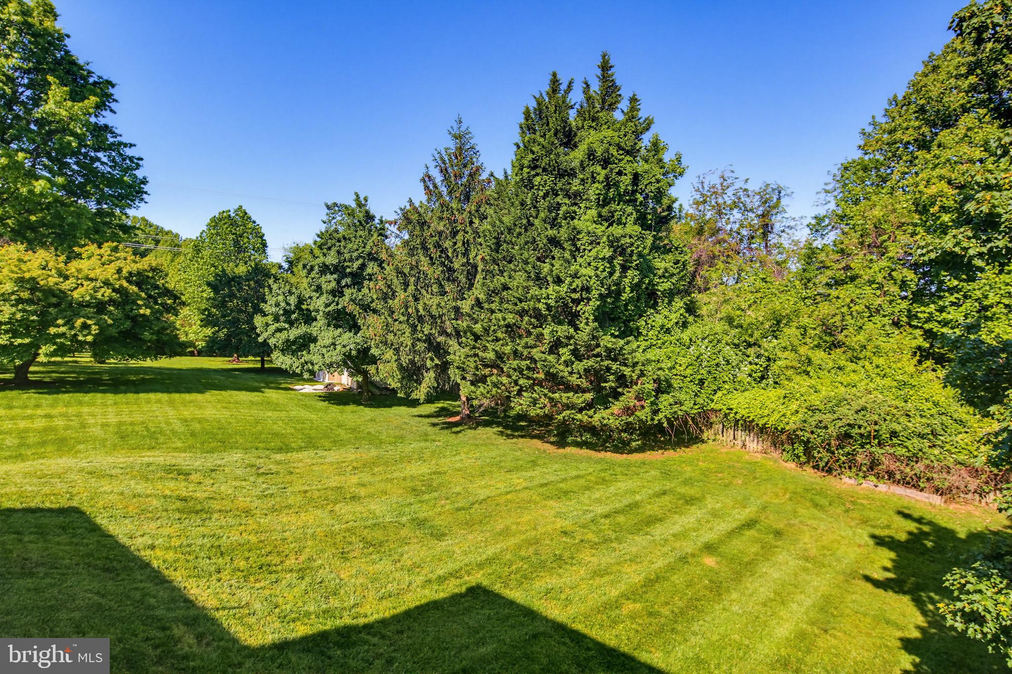 8266 Spring Branch Court Laurel, MD 20723 - Photo 63 of 73 Lush green grass in back yard!