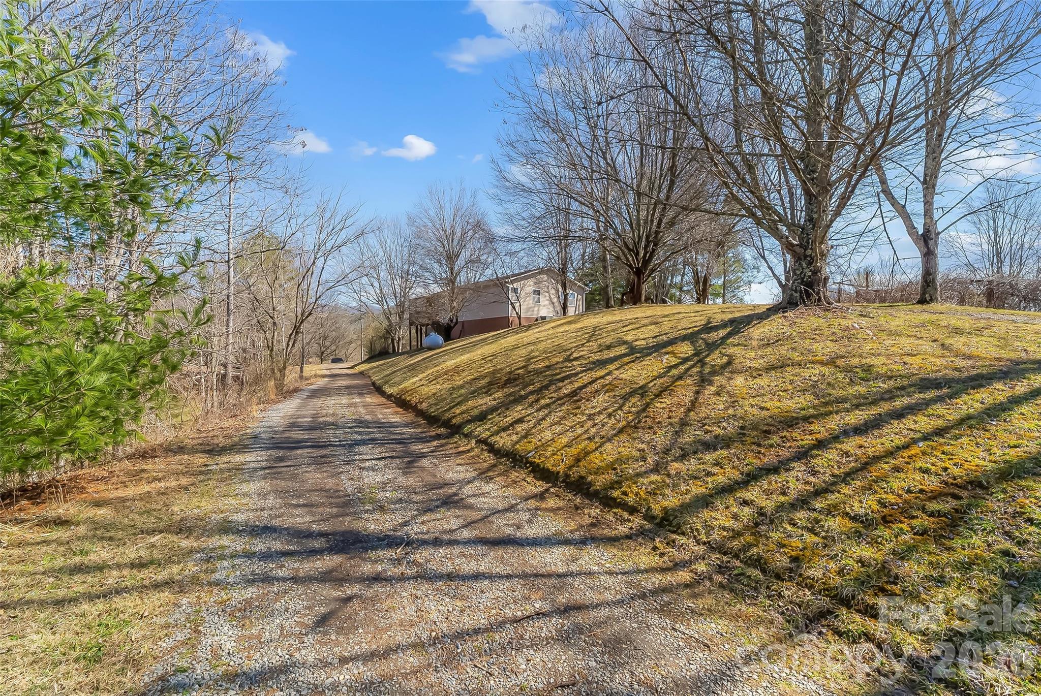 350 Sandy Bottom Road Marshall, NC 28753 - Photo 1 of 40 a view of empty space and tree