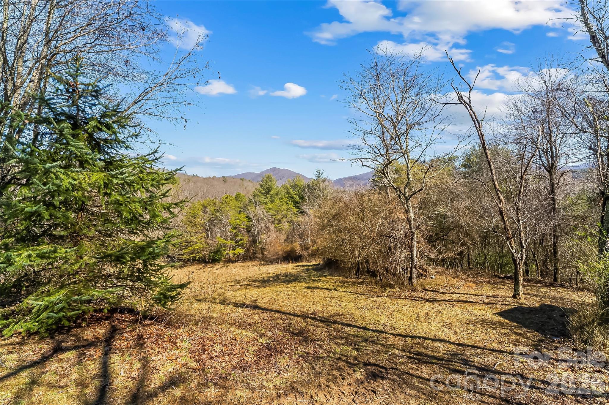 350 Sandy Bottom Road Marshall, NC 28753 - Photo 20 of 40 a view of a yard with trees