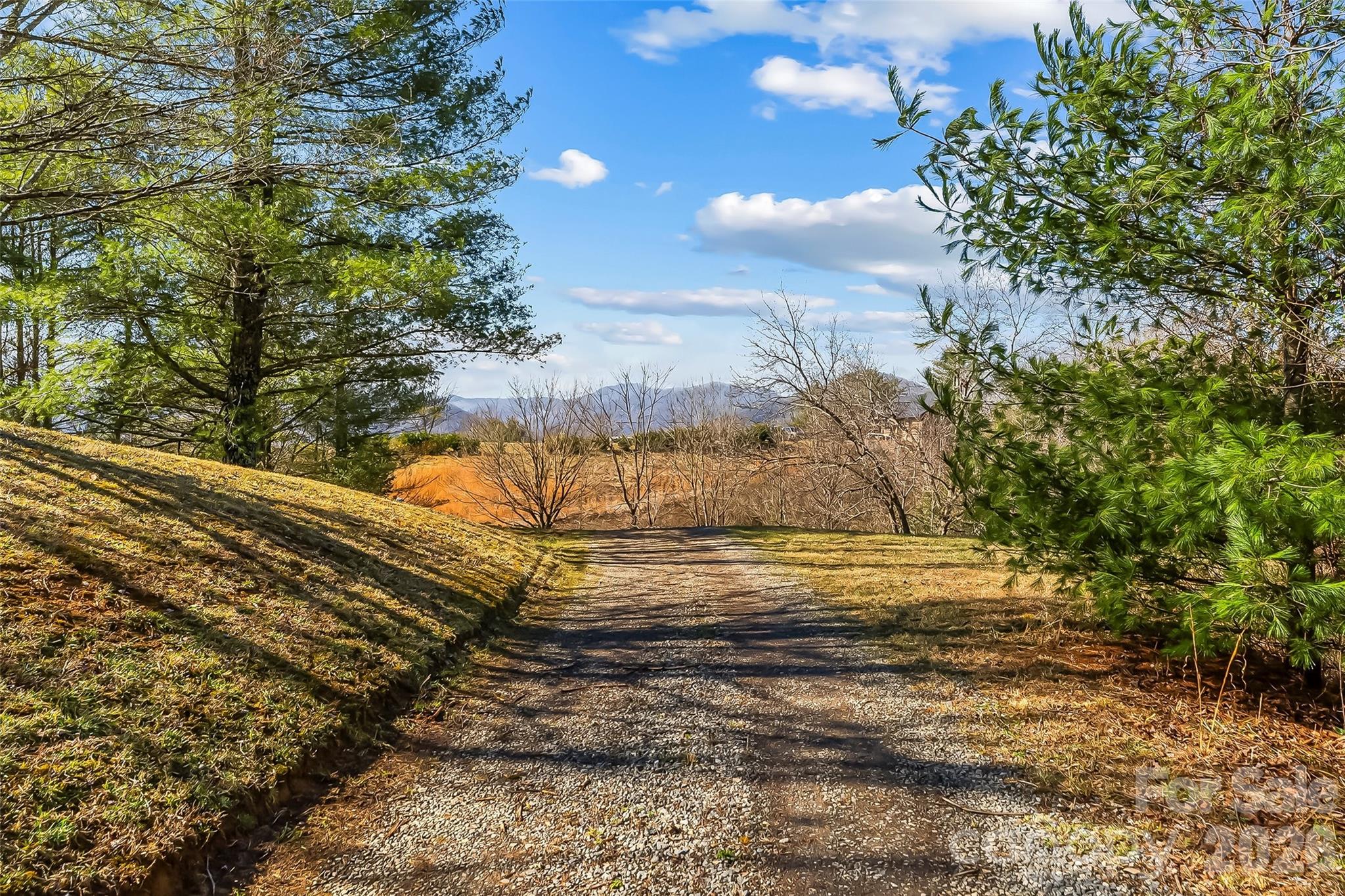 350 Sandy Bottom Road Marshall, NC 28753 - Photo 27 of 40 a view of a yard with mountain view