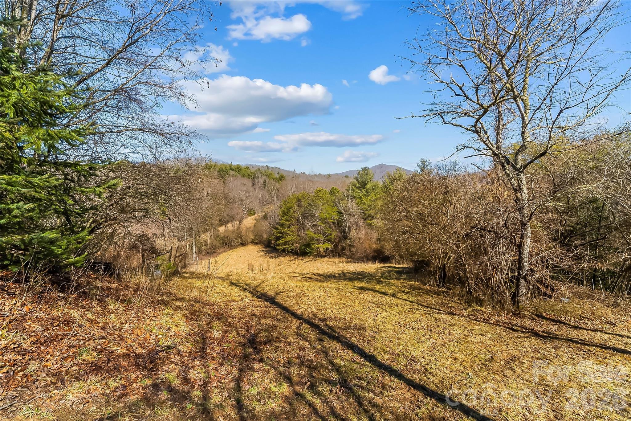 350 Sandy Bottom Road Marshall, NC 28753 - Photo 3 of 40 a view of dirt field