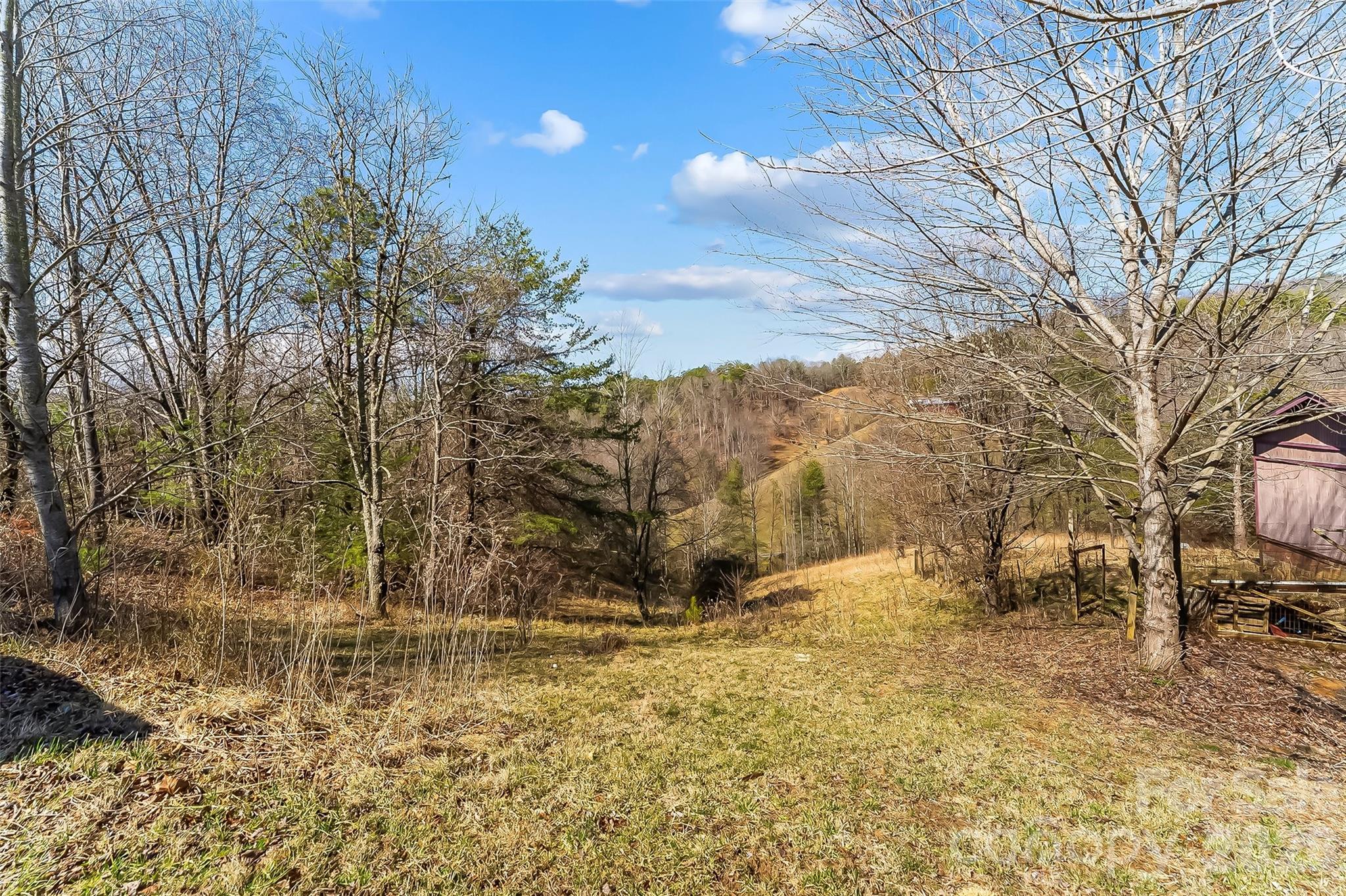 350 Sandy Bottom Road Marshall, NC 28753 - Photo 35 of 40 a view of large yard