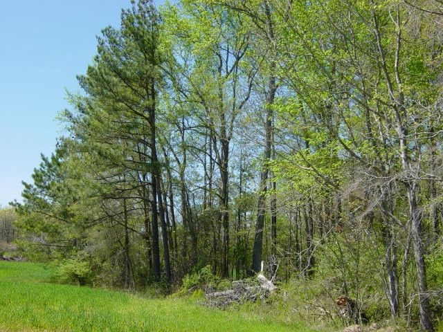 Rivers Edge Road Oxford, NC 27565 - Photo 3 of 3 Photo 3