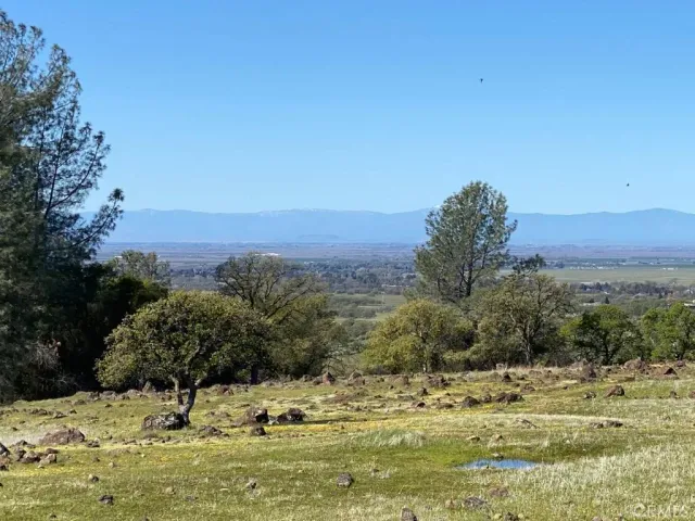 a view of a field with an ocean and trees