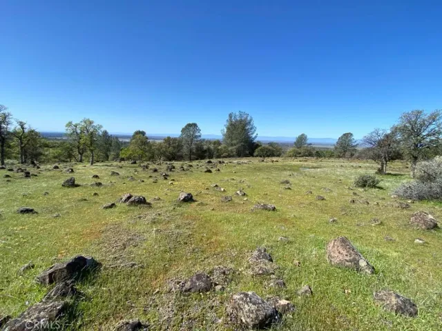 a view of a dry field with trees in the background
