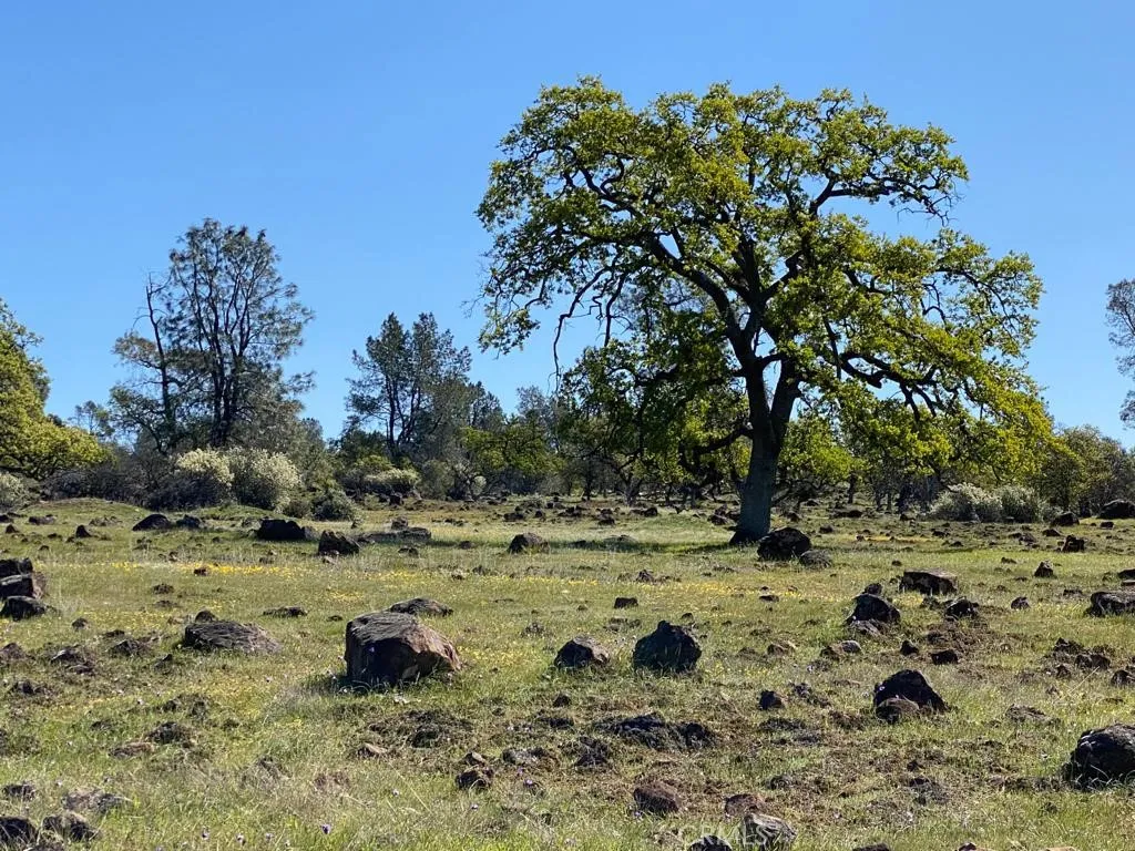0 Richardson Springs Chico, CA 95973 - Photo 6 of 8 a view of a dry field with trees in the background