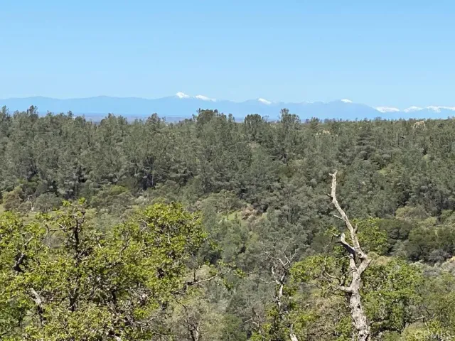 a view of a dry yard with wooden floor and city view