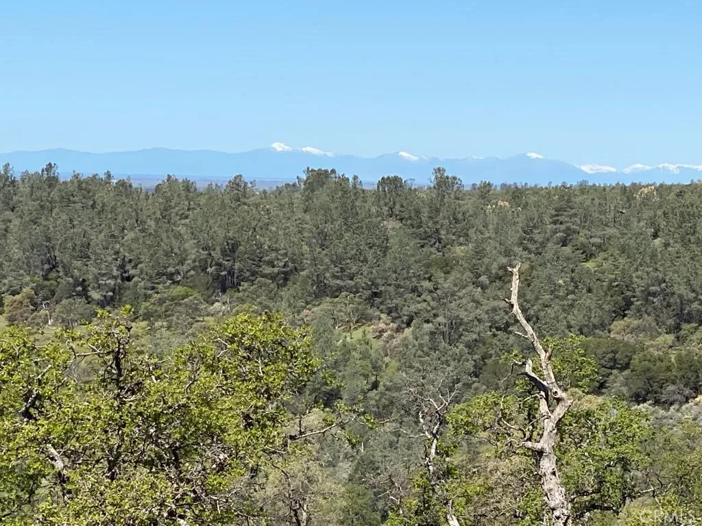 0 Richardson Springs Chico, CA 95973 - Photo 7 of 8 a view of a city with lush green forest