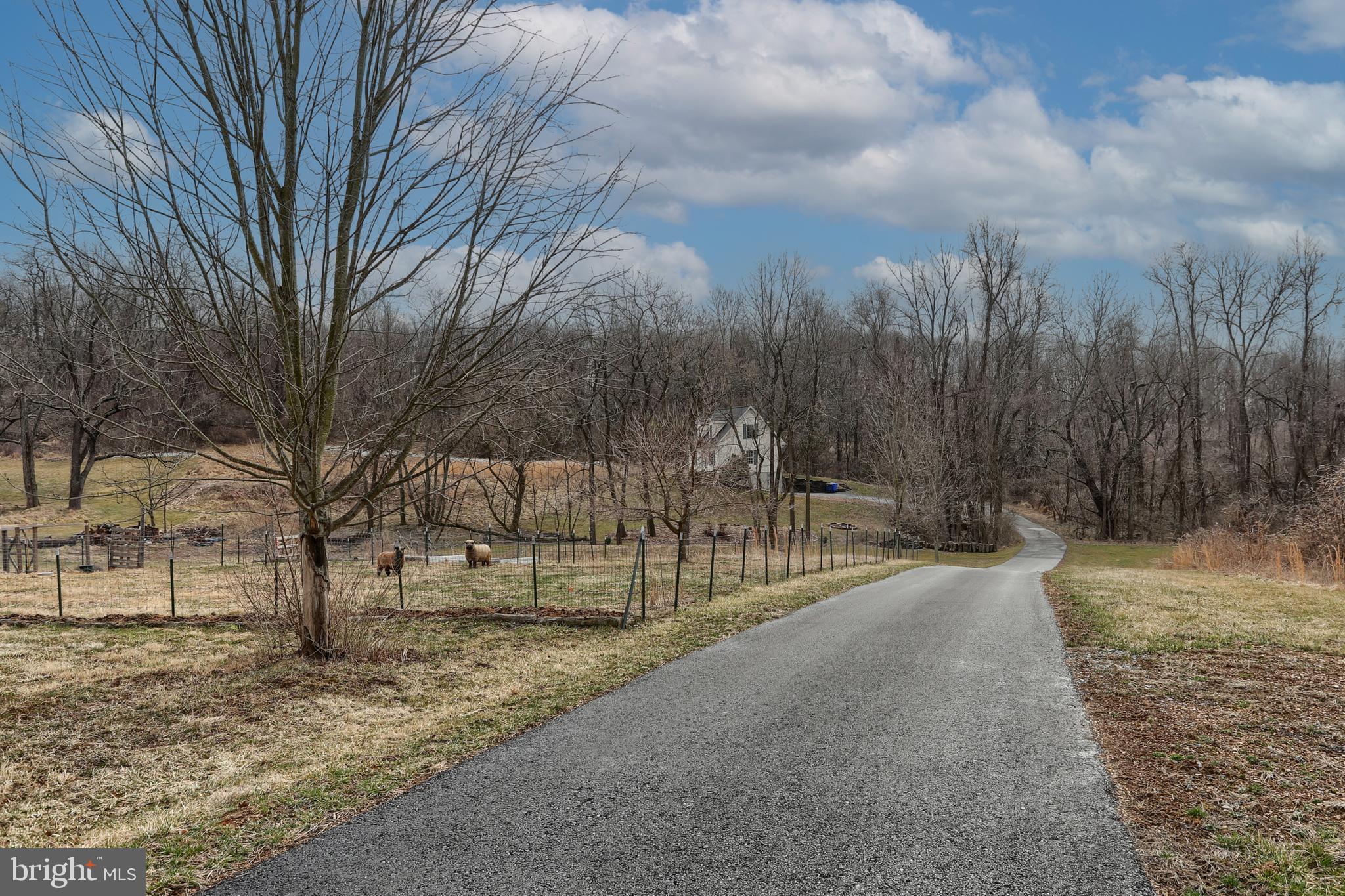 353 Old Stage Road Lewisberry, PA 17339 - Photo 2 of 37 Long paved driveway