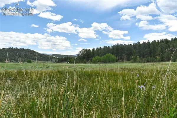 $56,000 | 729 Valley Drive, Guffey, CO 80820