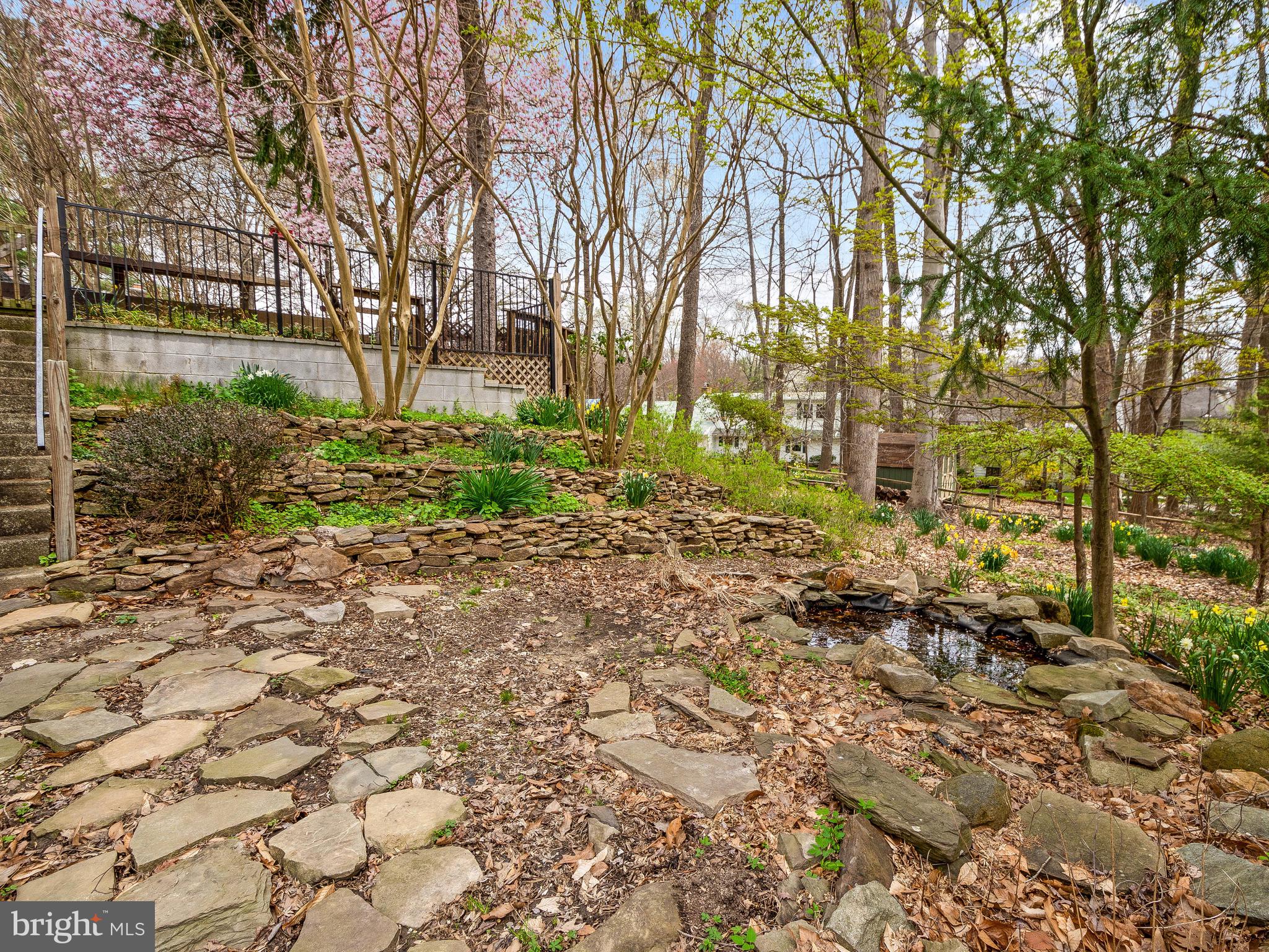 3213 Birchtree Lane Silver Spring, MD 20906 - Photo 54 of 54 View of backyard