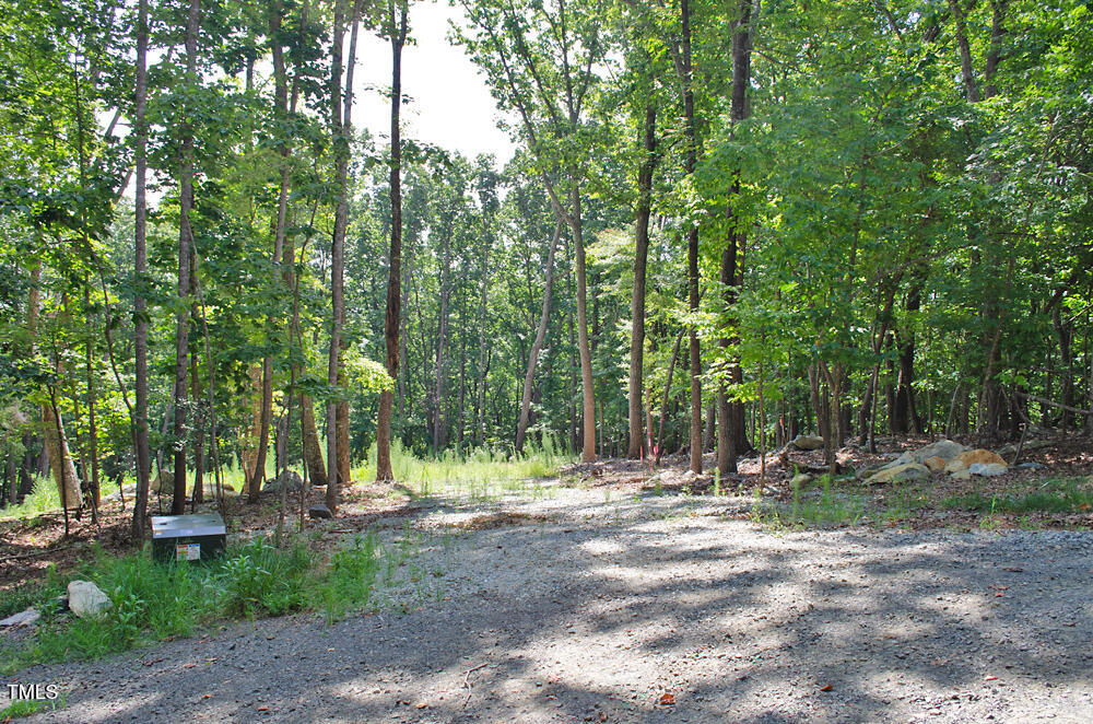148 Lookout Rdg Way Rougemont, NC 27572 - Photo 2 of 22 DSC_0001