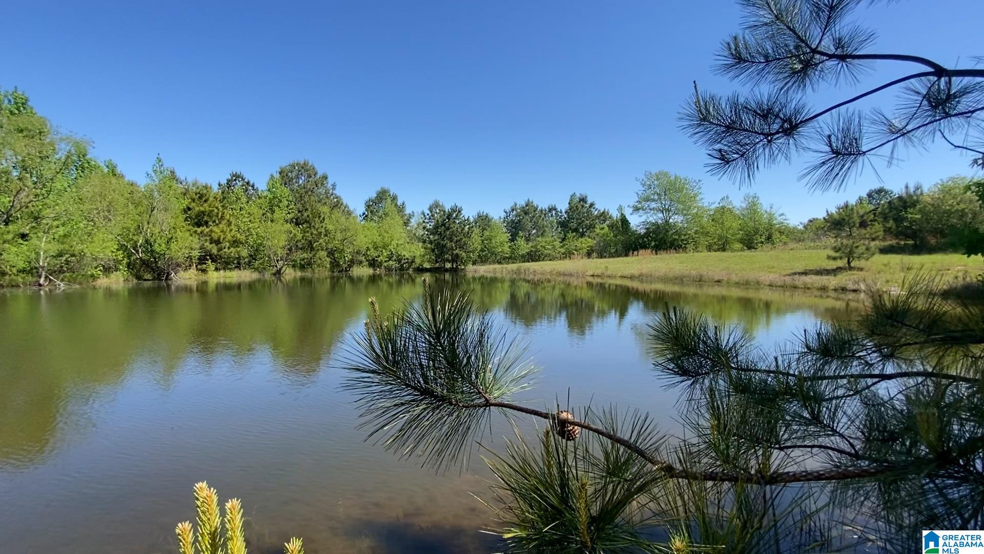 0 Jones Chapel Loop, Unit 20 ACRES Springville, AL 35146 - Photo 10 of 13