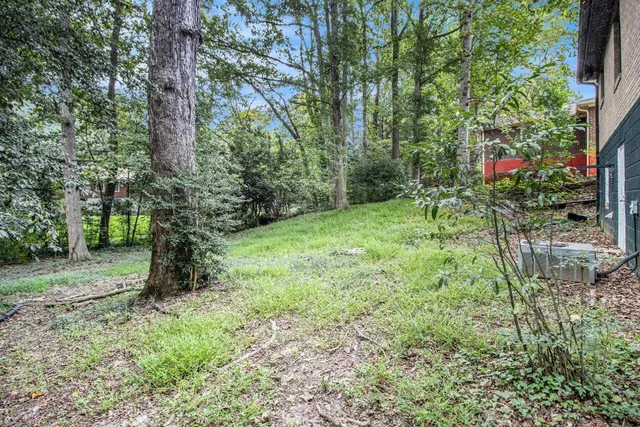 a view of lush green space