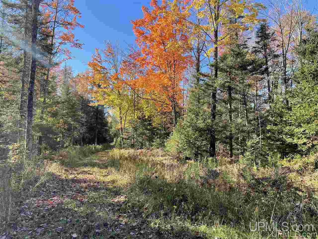 13996 Evergreen Road Rock, MI 49880 - Photo 25 of 47 Gallery Image 25