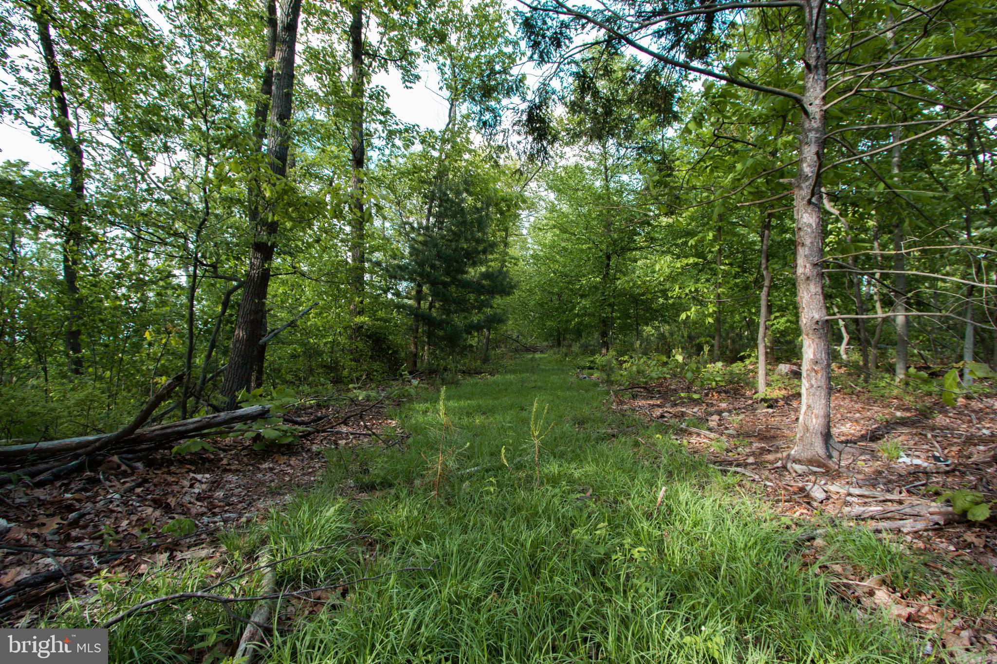 Rambo Hill Road Shermans Dale, PA 17090 - Photo 11 of 20 Gallery Image 11