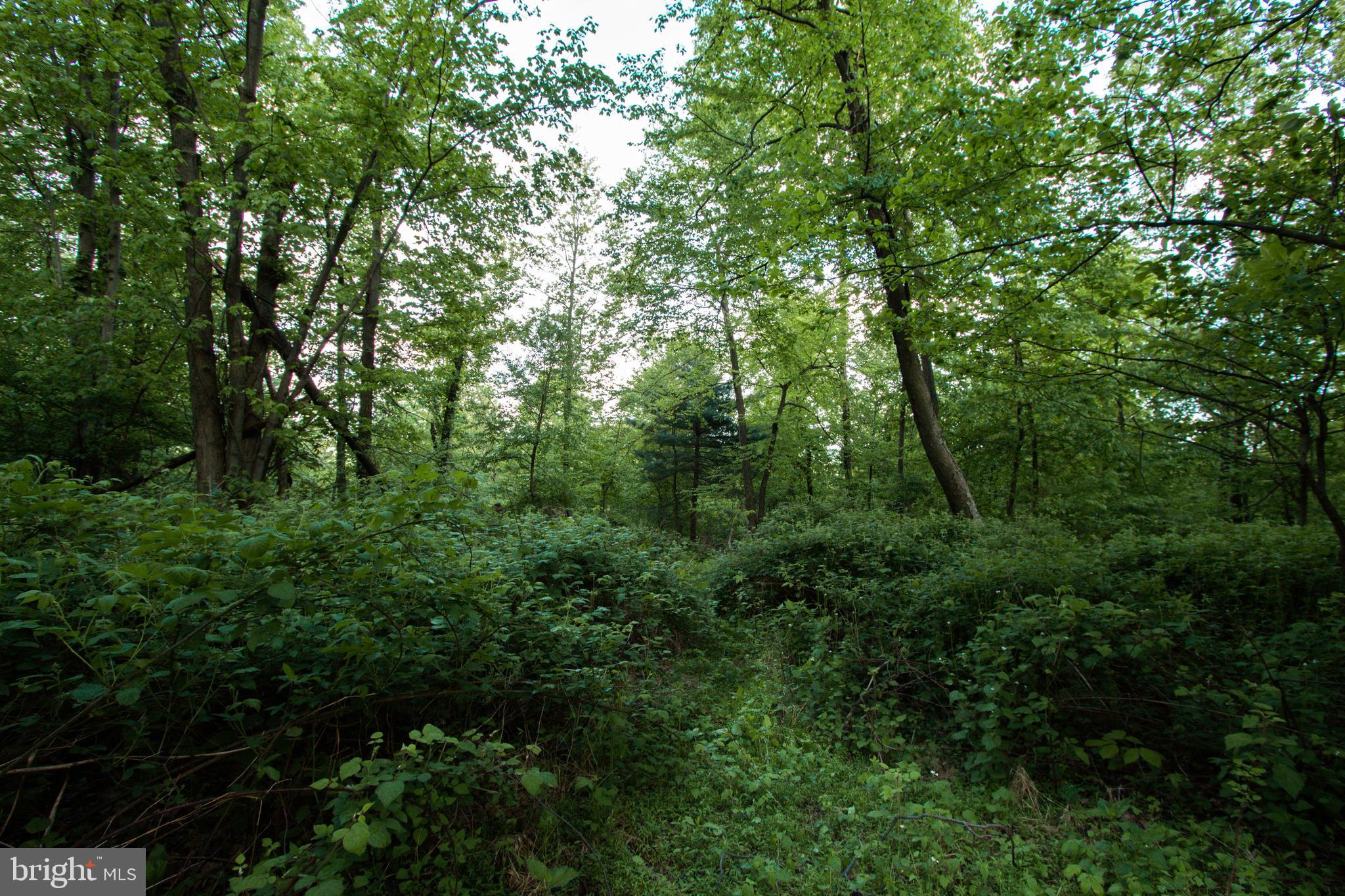 Rambo Hill Road Shermans Dale, PA 17090 - Photo 17 of 20 Gallery Image 17