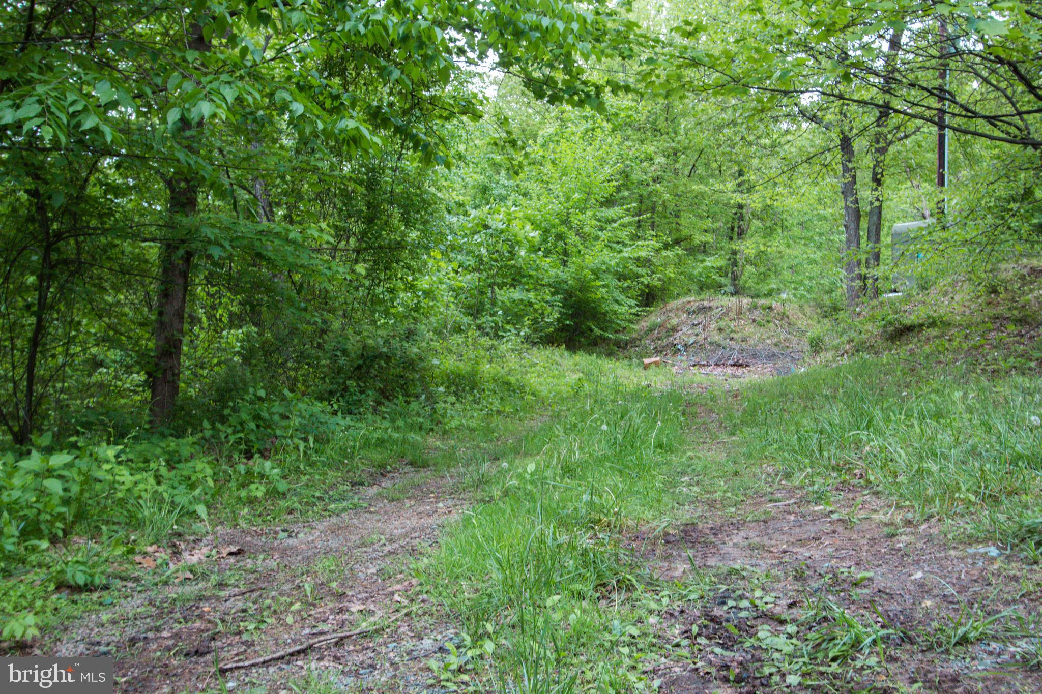Rambo Hill Road Shermans Dale, PA 17090 - Photo 3 of 20 Gallery Image 3
