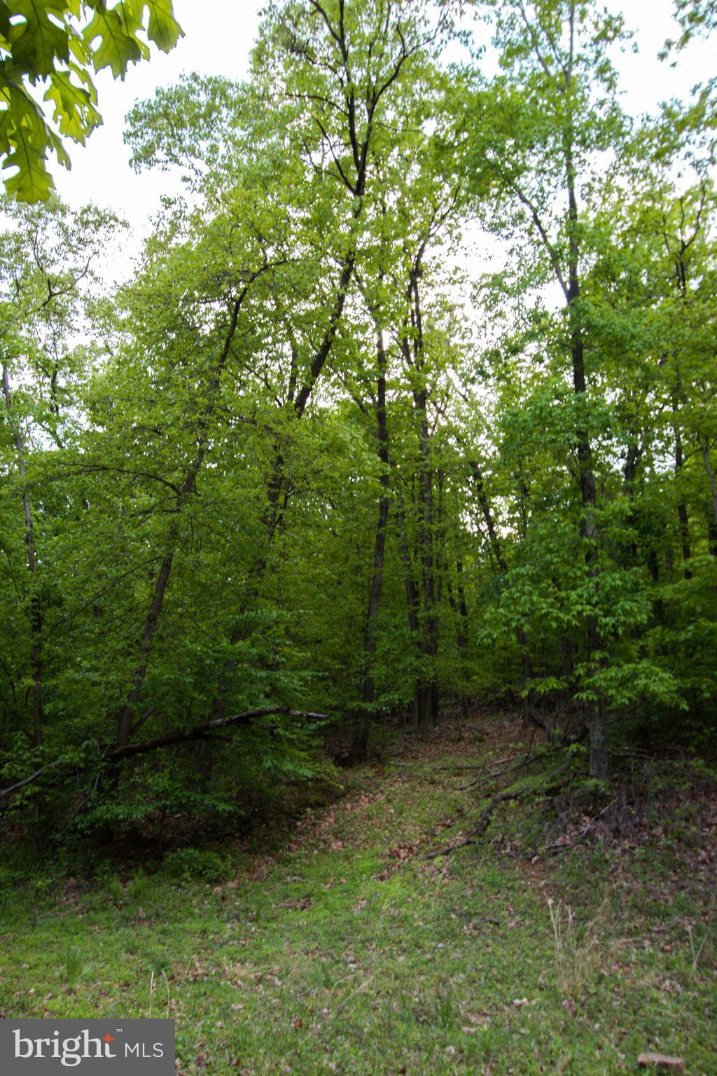 Rambo Hill Road Shermans Dale, PA 17090 - Photo 4 of 20 Gallery Image 4