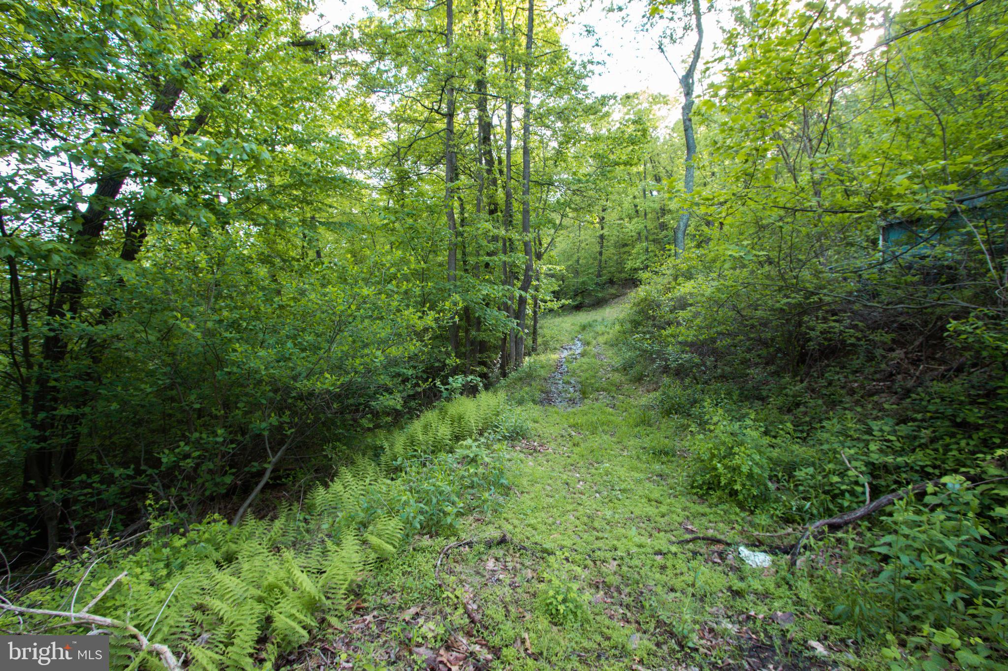Rambo Hill Road Shermans Dale, PA 17090 - Photo 6 of 20 Gallery Image 6