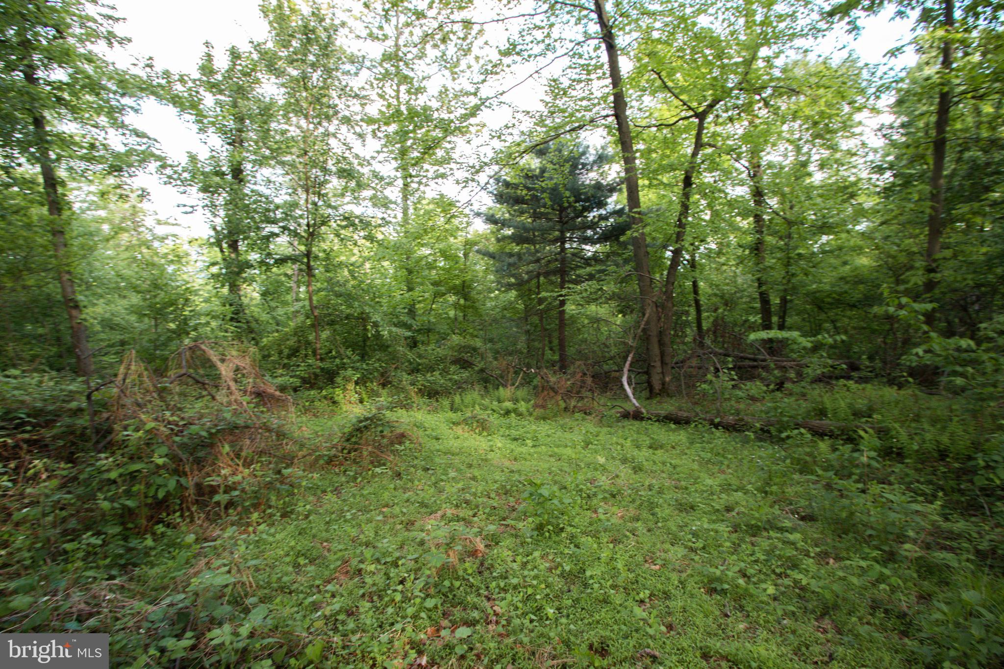 Rambo Hill Road Shermans Dale, PA 17090 - Photo 8 of 20 Gallery Image 8
