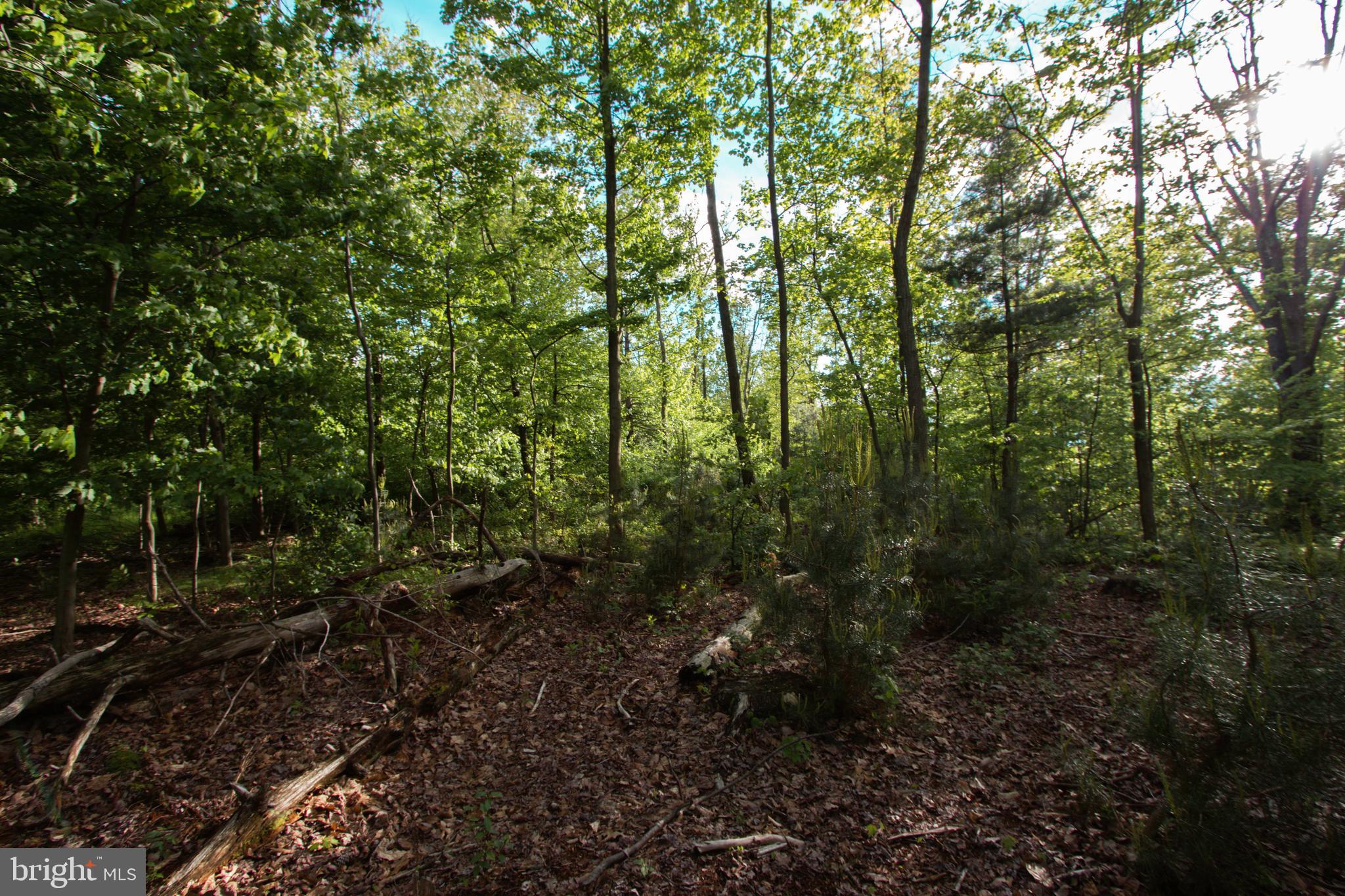 Rambo Hill Road Shermans Dale, PA 17090 - Photo 10 of 20 Gallery Image 10