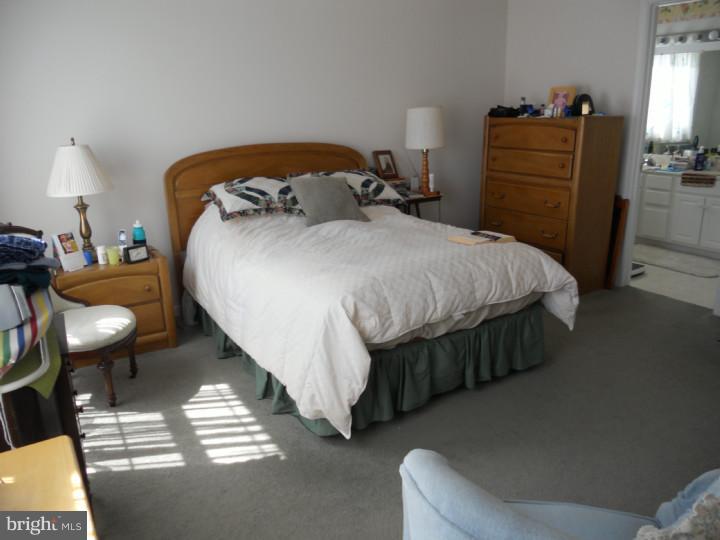 119 Quaker Hill Road Magnolia, DE 19962 - Photo 12 of 21 Master Bedroom