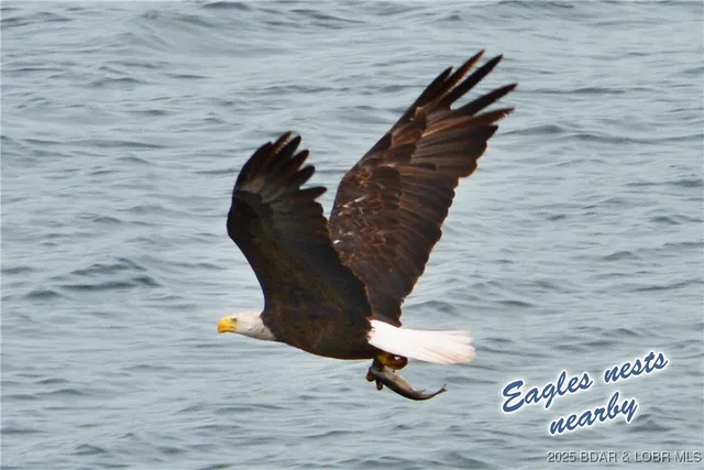 $8,954,000 | 33 Vista Court, Sunrise Beach, MO 65079