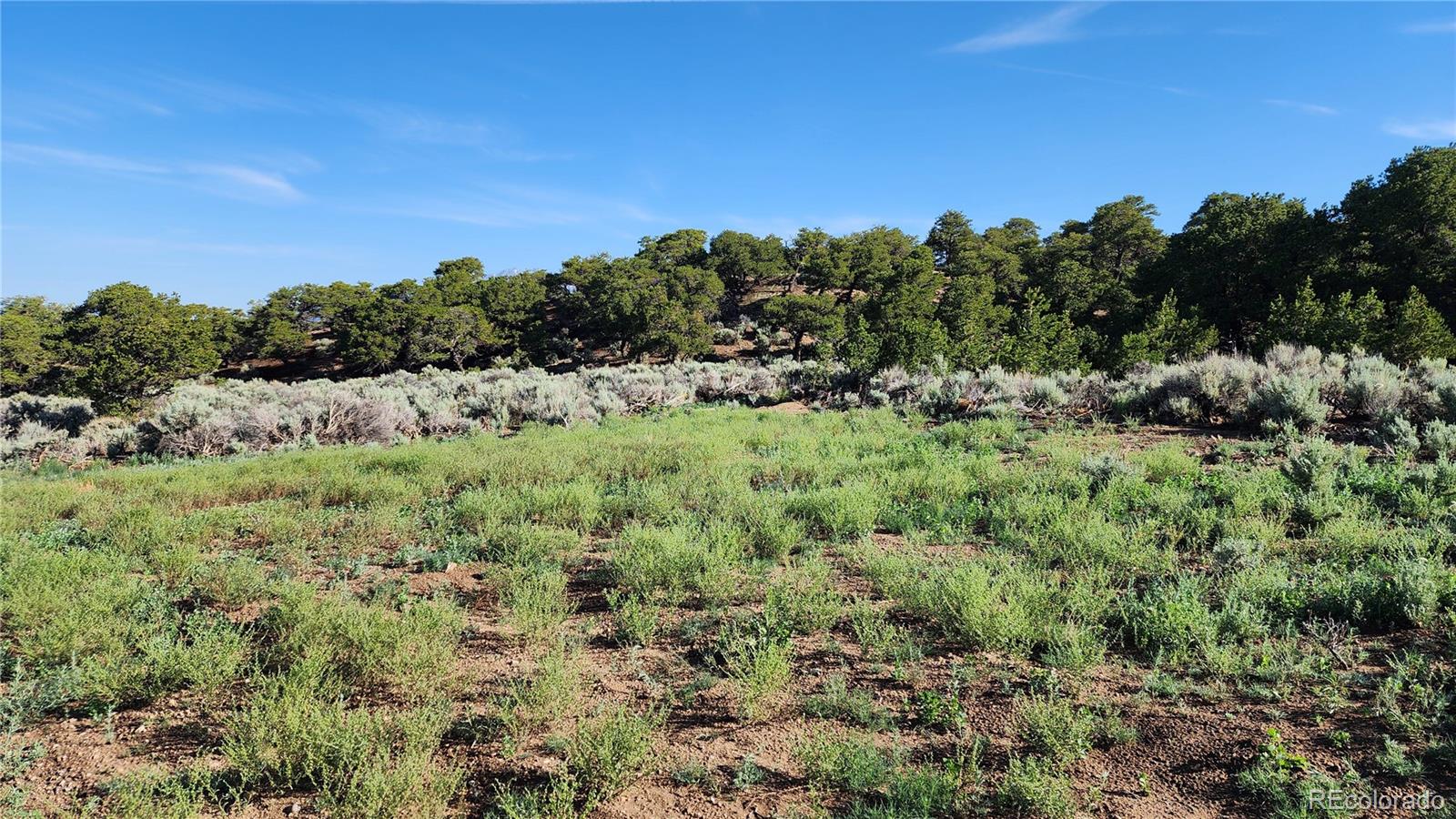 1702 Luke Road Fort Garland, CO 81133 - Photo 13 of 17 Gallery Image 13