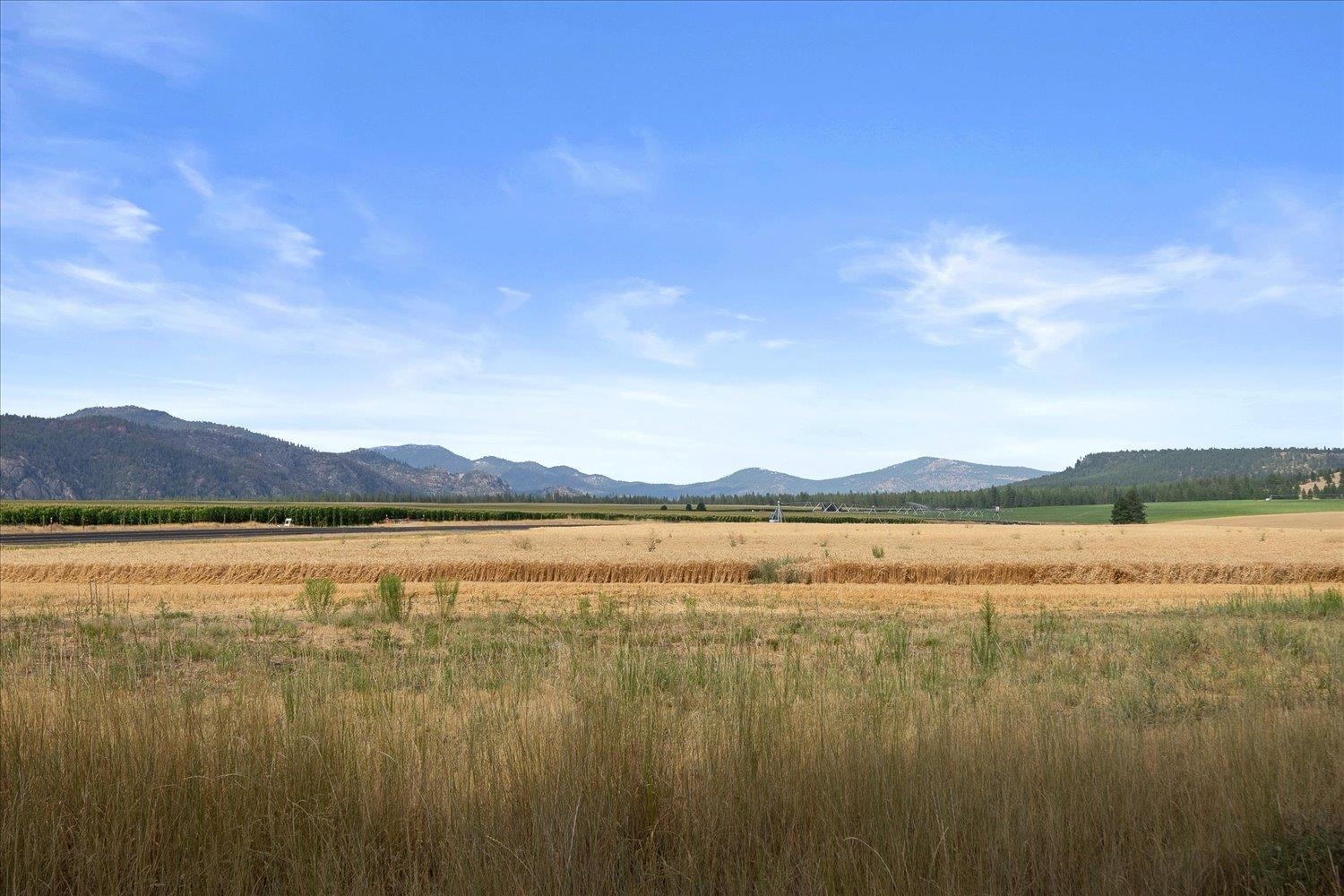 25707 West Long Lake Road Ford, WA 99013 - Photo 37 of 48 Gallery Image 37