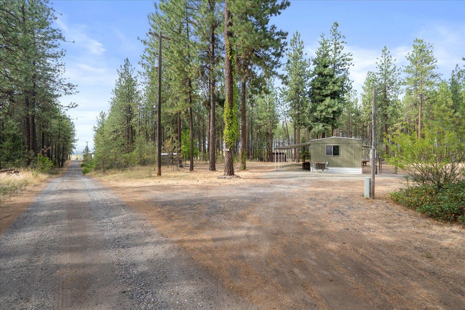 25707 West Long Lake Road Ford, WA 99013 - Photo 4 of 48 Gallery Image 4