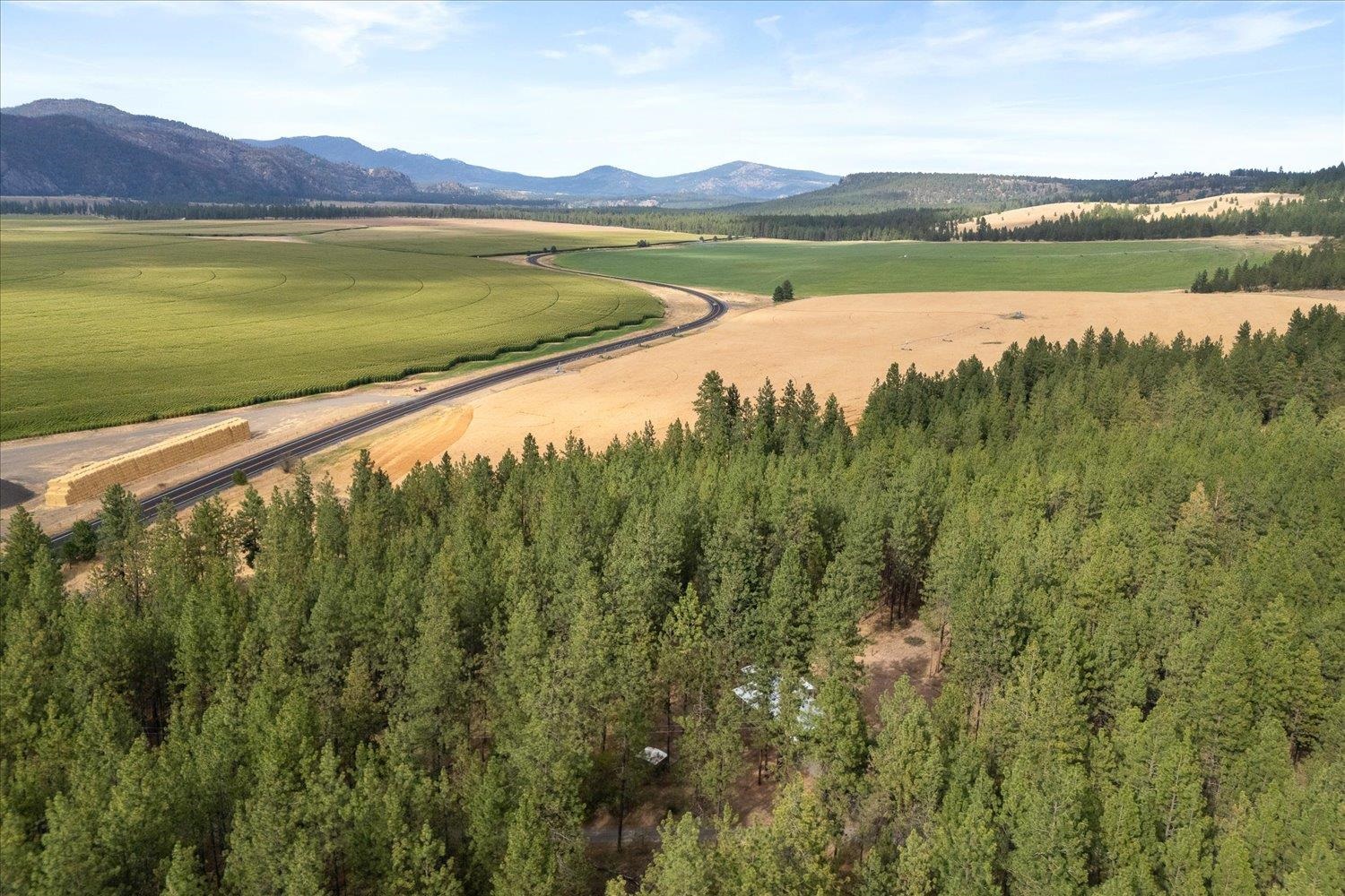 25707 West Long Lake Road Ford, WA 99013 - Photo 41 of 48 Gallery Image 41