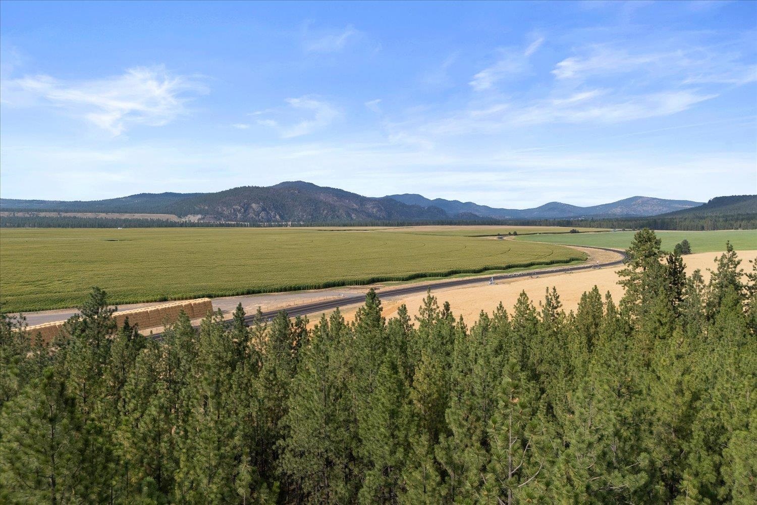 25707 West Long Lake Road Ford, WA 99013 - Photo 42 of 48 Gallery Image 42