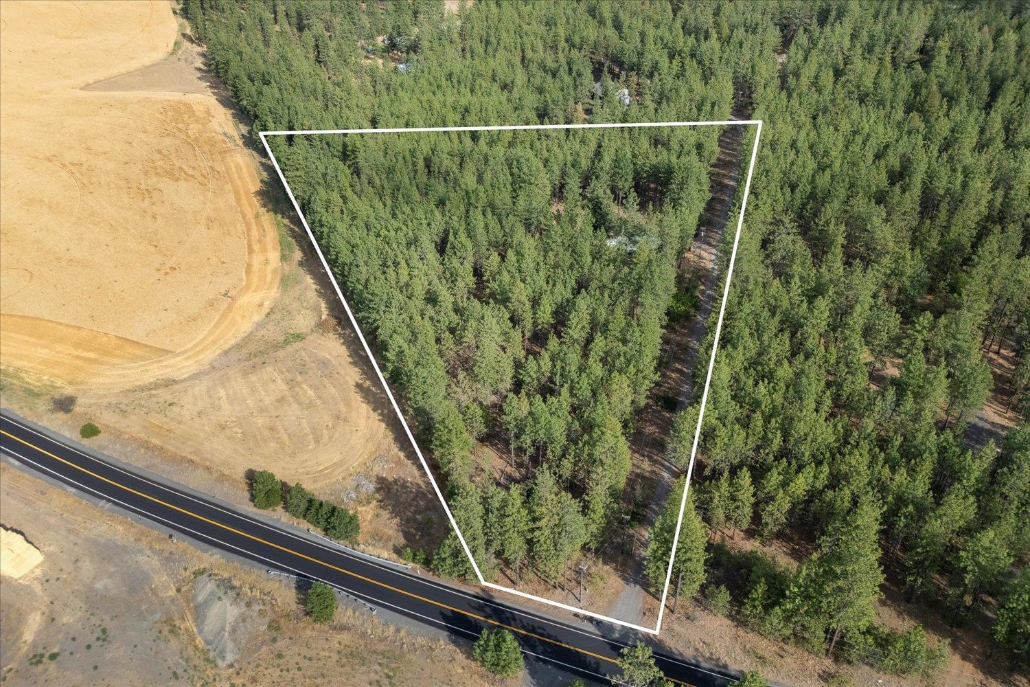 25707 West Long Lake Road Ford, WA 99013 - Photo 46 of 48 Gallery Image 46
