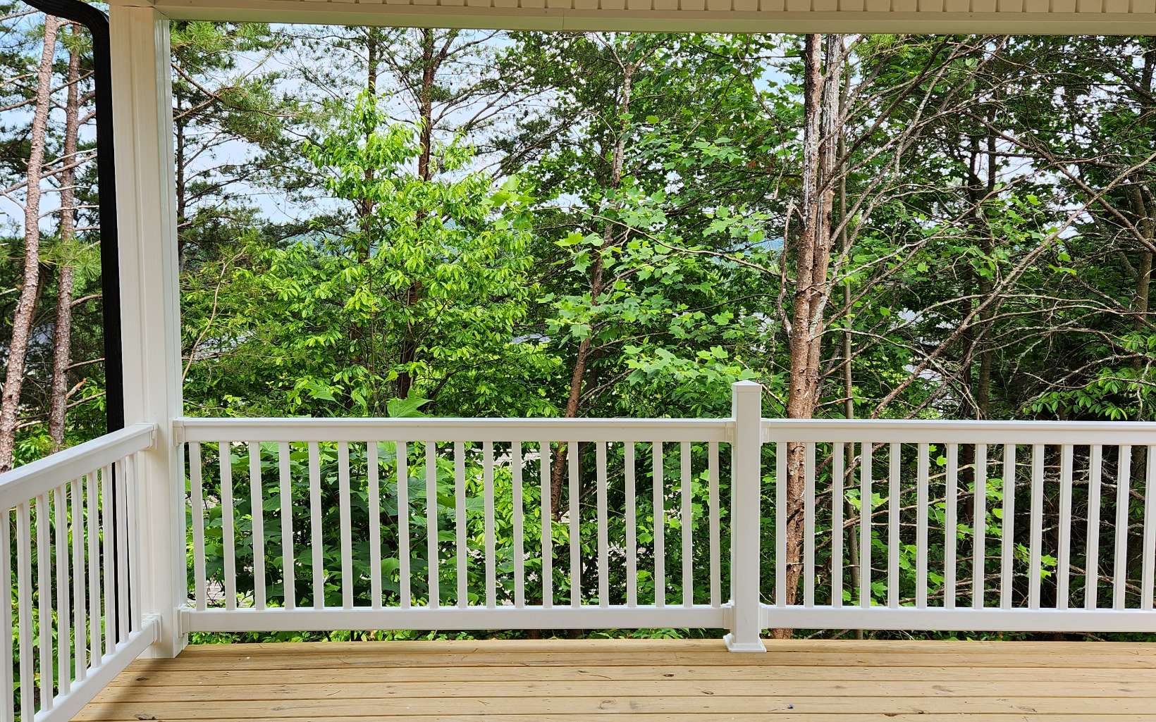 108 Hunter Lane Blue Ridge, GA 30513 - Photo 17 of 21 Additional View