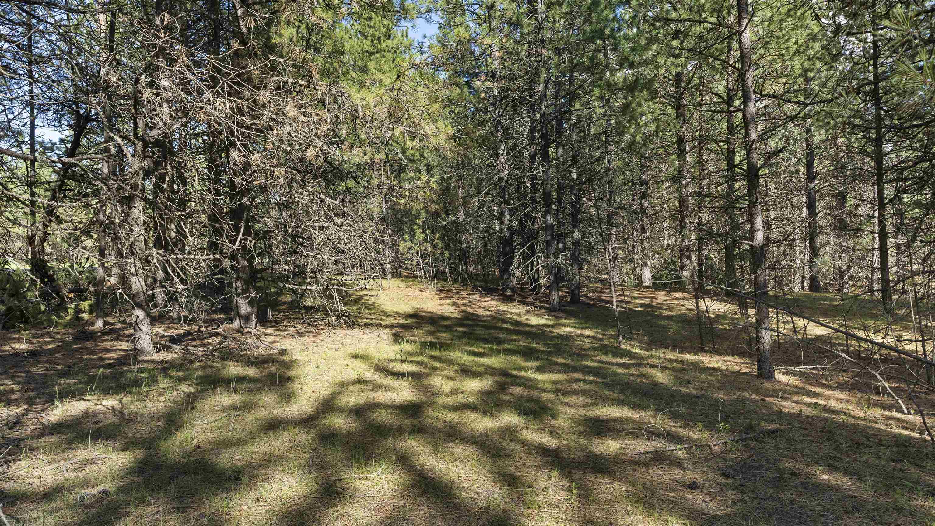 118-xx East Laurel Road Elk, WA 99009 - Photo 8 of 13