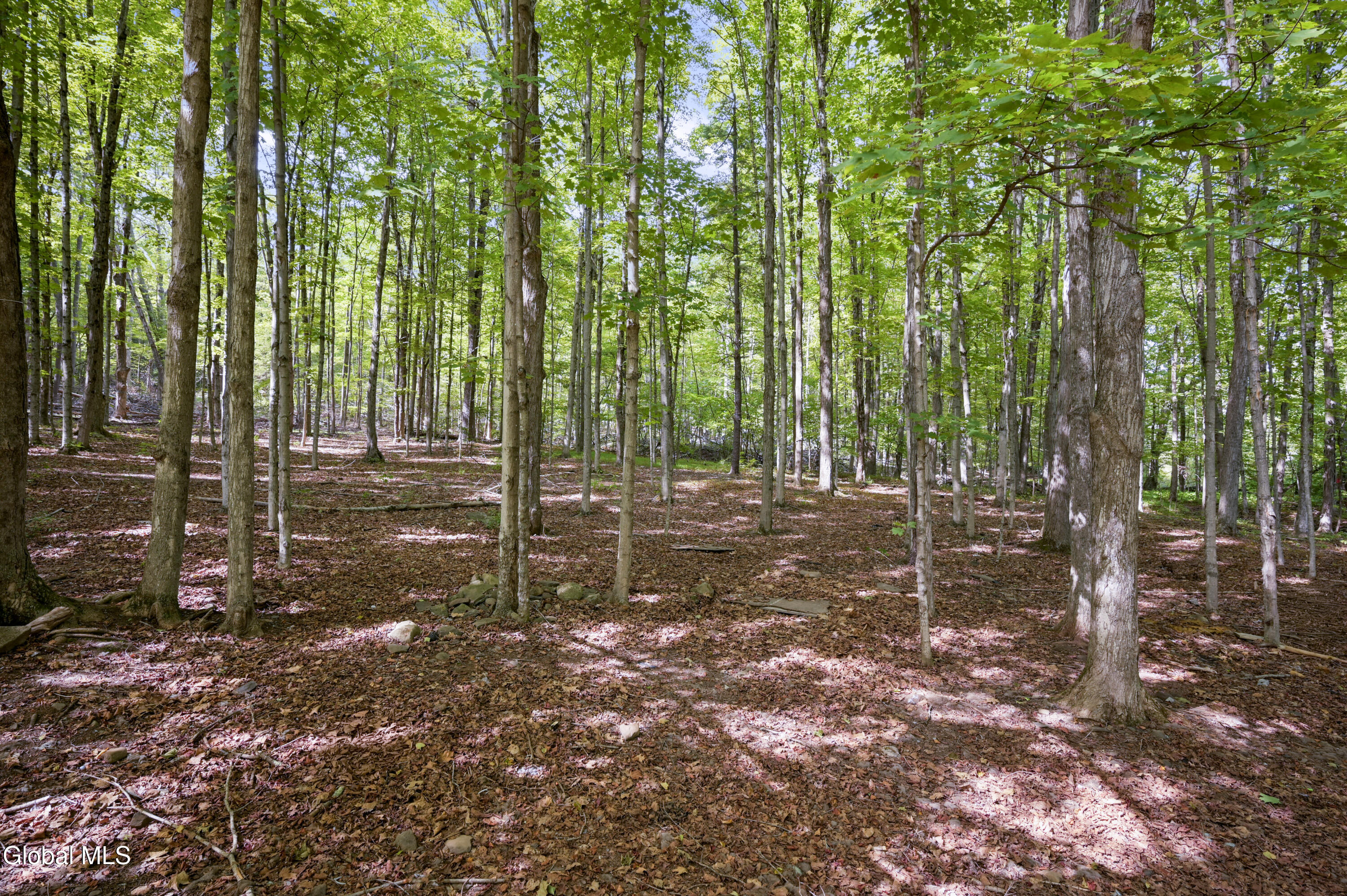 200 Davis Mt Road Oak Hill, NY 12460 - Photo 16 of 45 200 Davis Mountain Camera-4